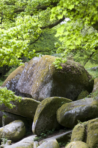 big rocks in a brittany forest photo