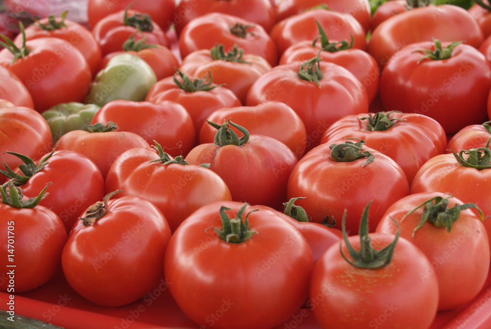 Tomato, tray of organic