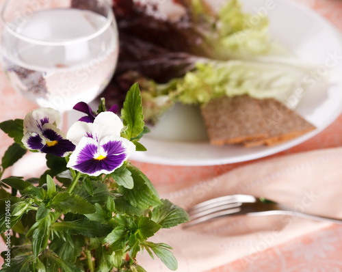 Fresh green salad with glass of water