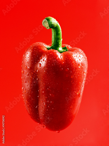 Paprika, rot