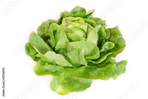 Kopfsalat,Gemüse