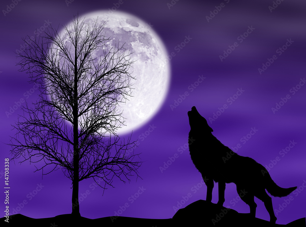 Lupo che ulula