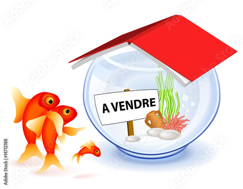 Maison neuve