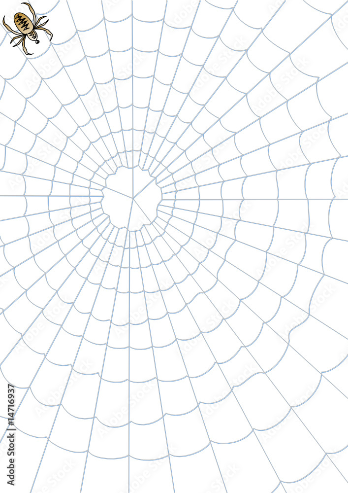 Obraz premium Background - Spinnennetz