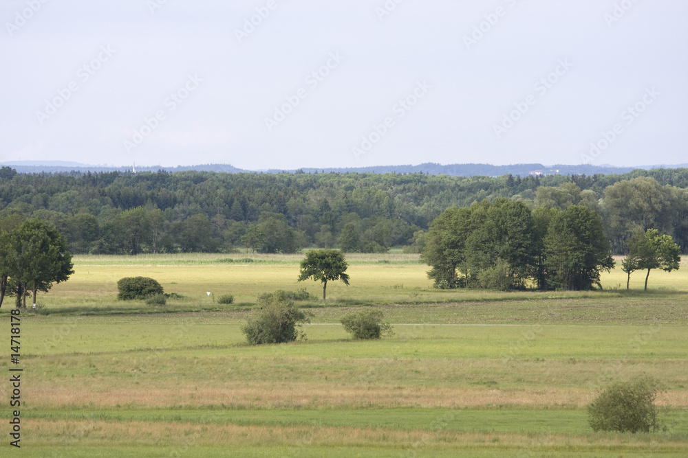 Fototapeta premium feld in bayern