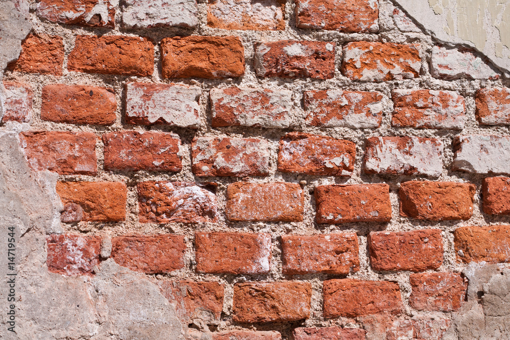 Obraz premium brick wall texture