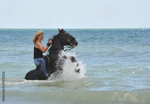Fotografi promenade equestre en mer