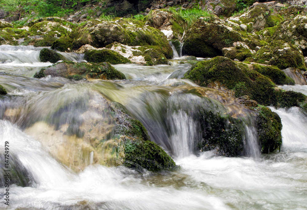 Fototapeta premium bemooste Felsen - mossy rocks