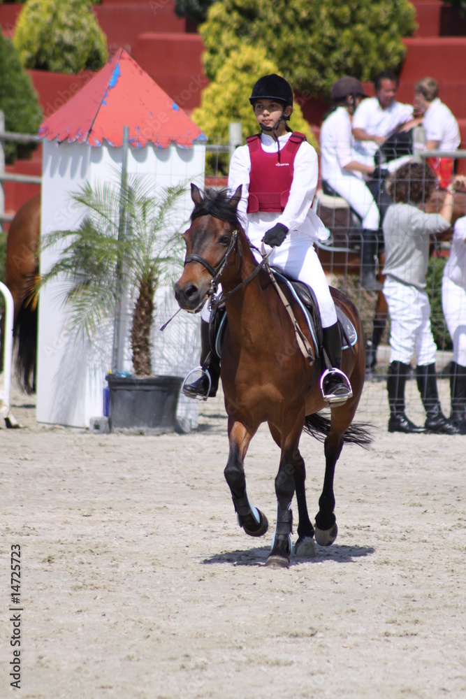 niña a caballo en concurso hípico niña a caballo en concurso hípico