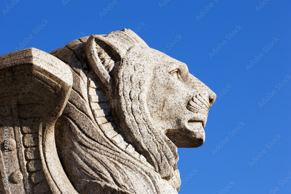 Obraz premium lion profile