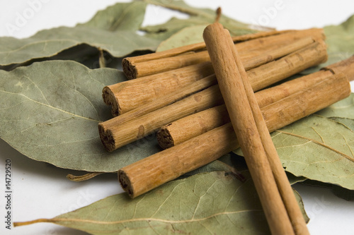 laurel y canela en rama