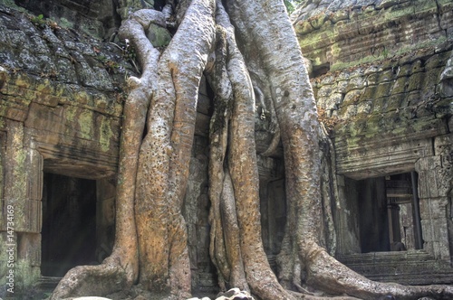Tah Prohm  Angkor Wat  - Siam Reap - Cambodia   Kambodscha