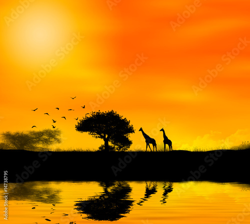 giraffe africa #14738795