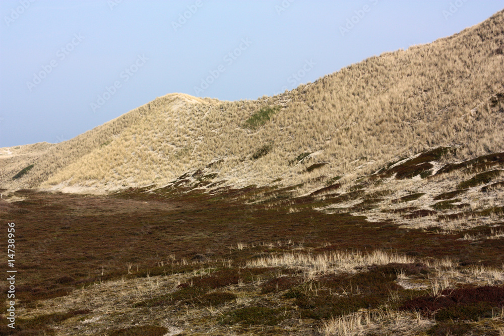 Fototapeta premium Dünenlandschaft auf Sylt