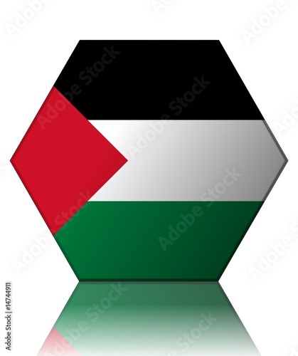 Free Download palestine drapeau hexagone palestine flag - GFXLoad