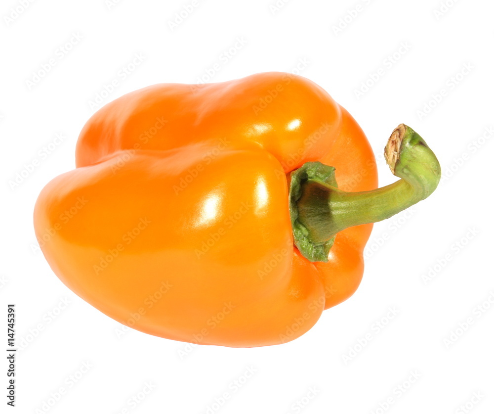 yellow pepper on a white background yellow pepper on a white background