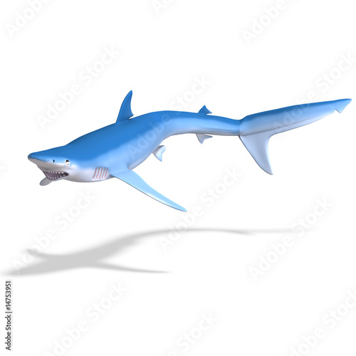 blue shark © Ralf Kraft