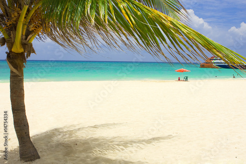 Fototapeta Naklejka Na Ścianę i Meble -  tropical beach
