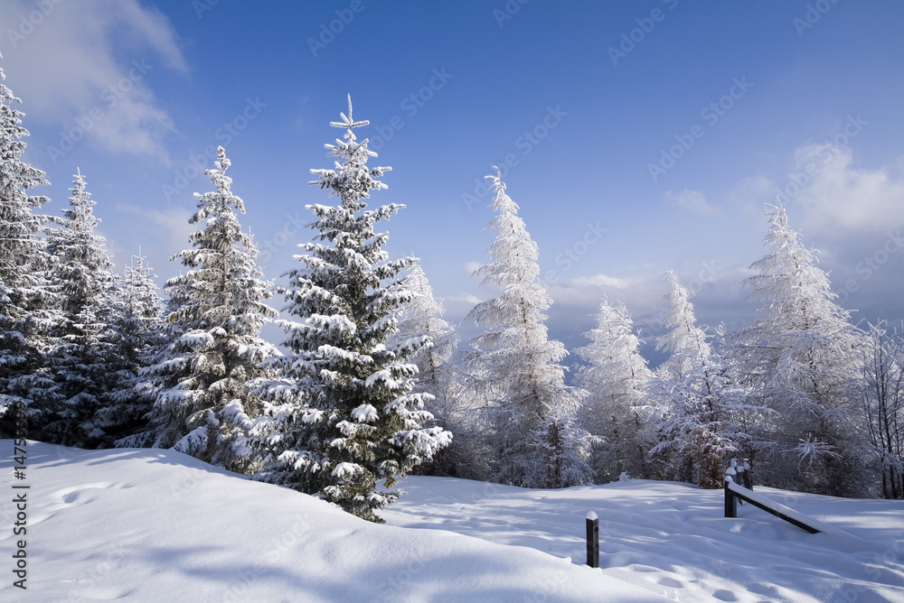 Snow Snow