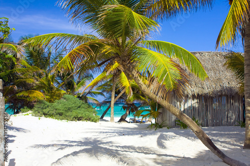 Fototapeta Naklejka Na Ścianę i Meble -  caribbean beach