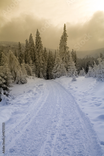 Winter road © Sebastian Duda