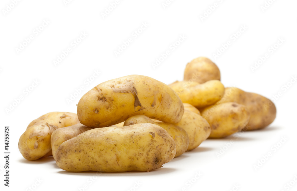 pomme de terre nouvelle, légume primeur isolé pomme de terre nouvelle, légume primeur isolé
