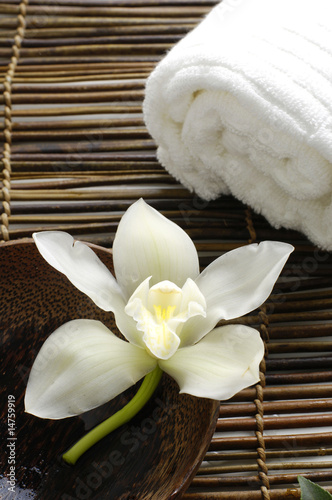 White orchid in a spa