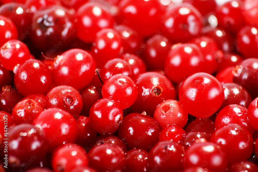 cranberries cranberries
