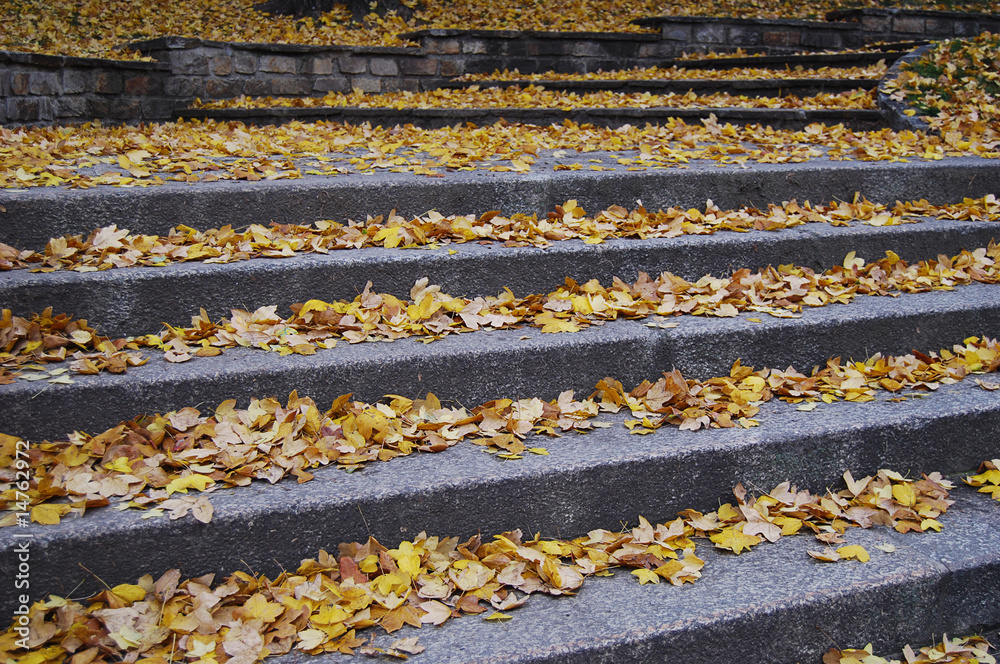 Obraz premium Outdoor stairway with yellow fallen leaves