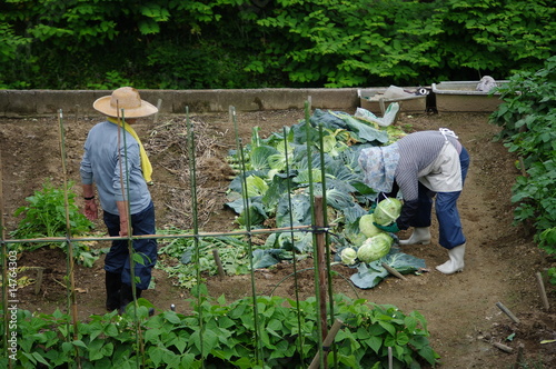 畑で働く人