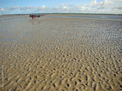 La traversée des grèves - Mont Saint-Michel photo