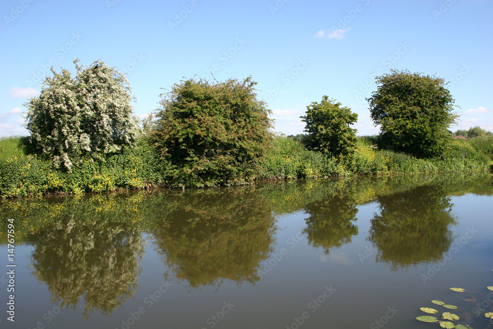 reflections in River Avon