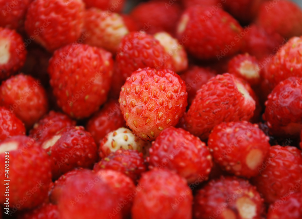strawberries strawberries