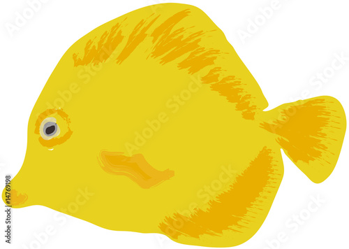 Poisson d'aquarium