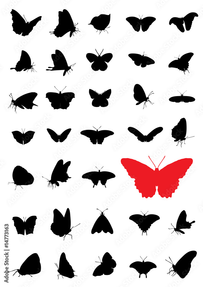 Butterfly silhouettes Butterfly silhouettes