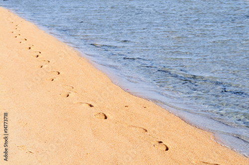 footprints at coastline