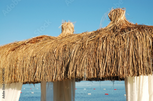 Принти на полотні thatched hut