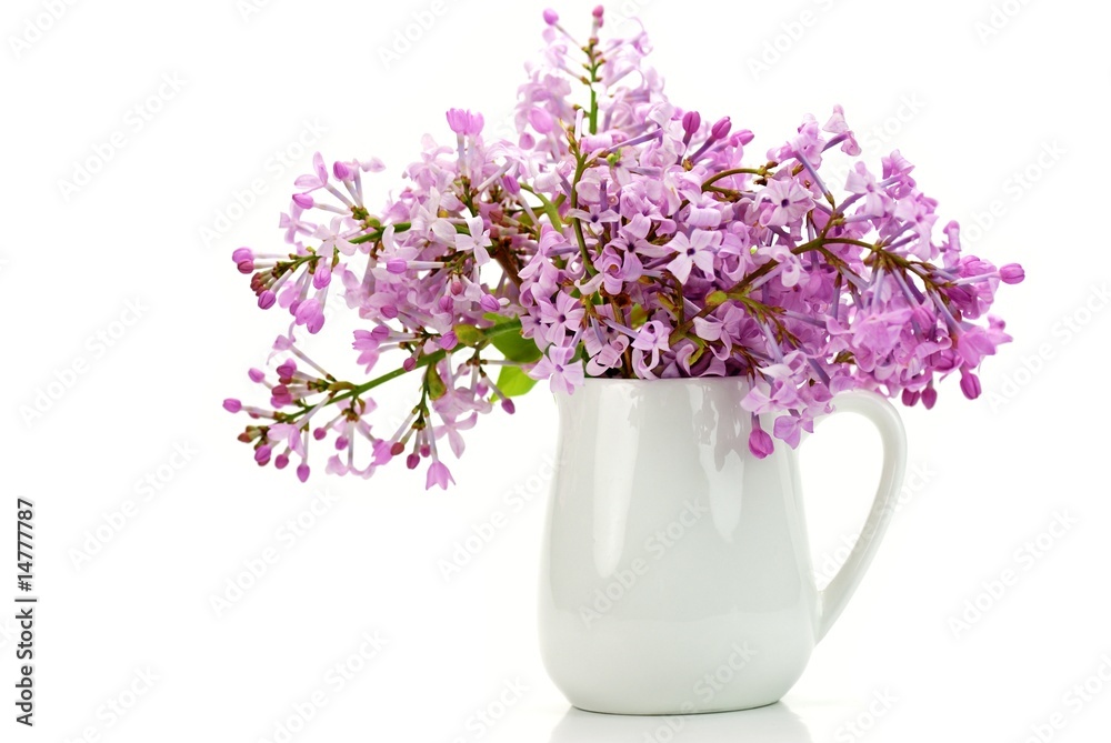 Purple Flowers in vase,isolated on White