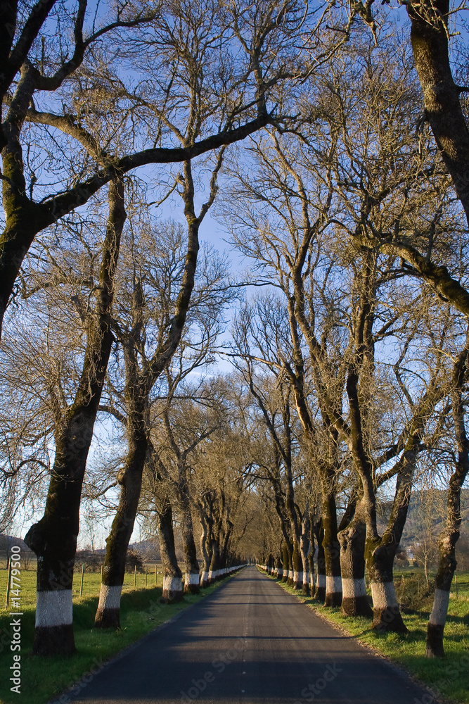 Naklejka premium Estrada Marvão