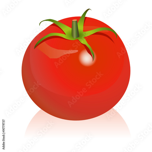 Tomato