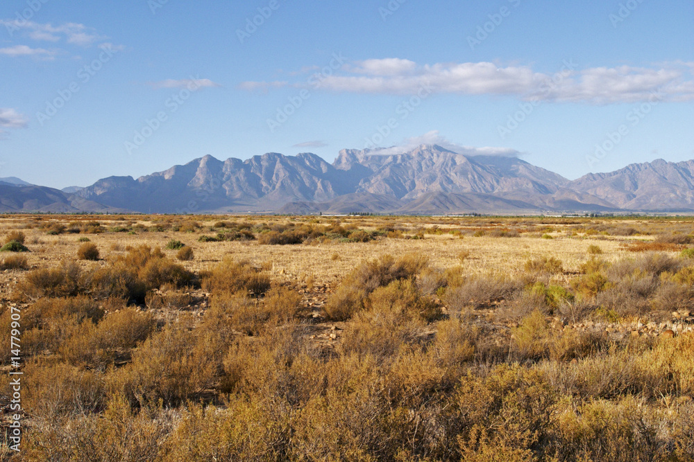 Cape mountains with dry fynbos