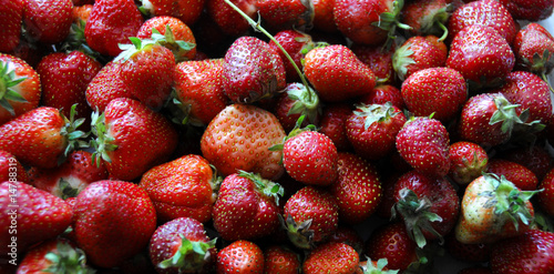 Photos strawberries