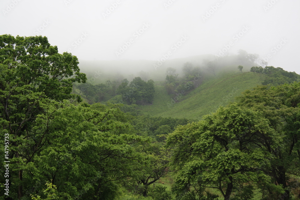 Fototapeta premium Hills in a fog