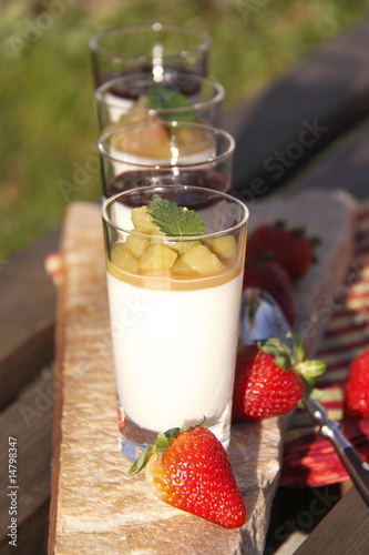 Panacotta