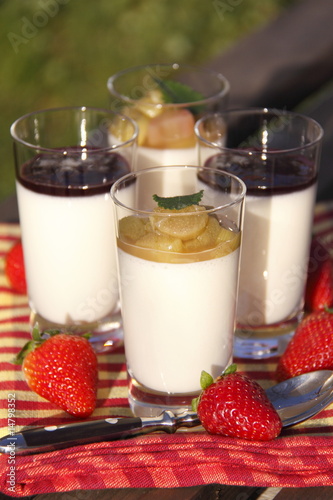 Panacotta im Glas