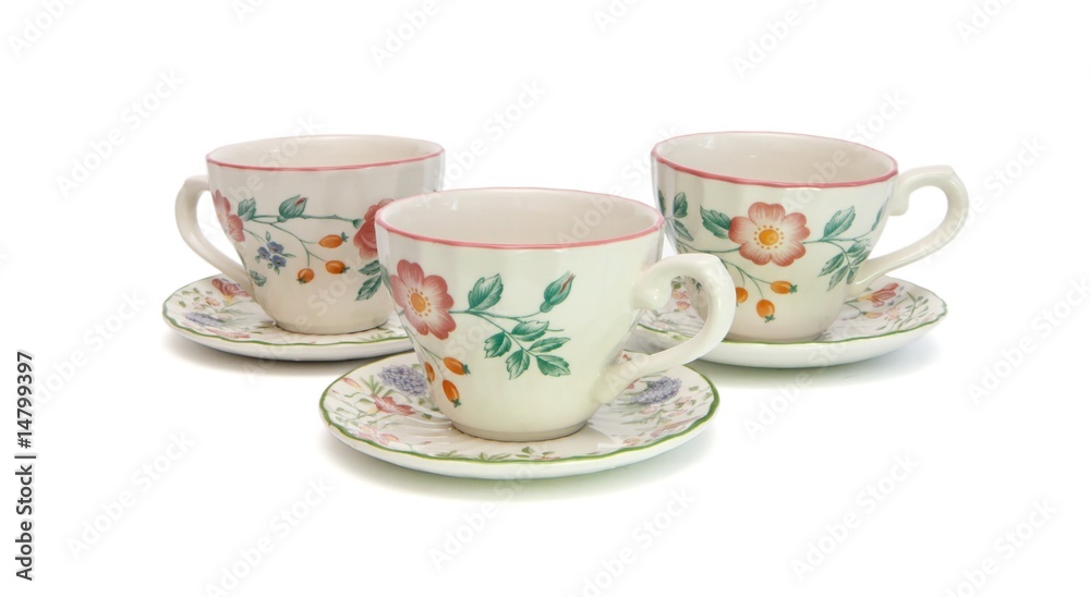 White tea service painted with dogroses isolated White tea service painted with dogroses isolated