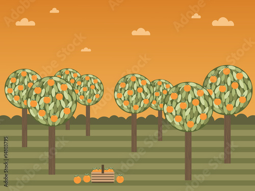 green landscape with orange fruit trees vector basket of oranges clipart on sunset sky background