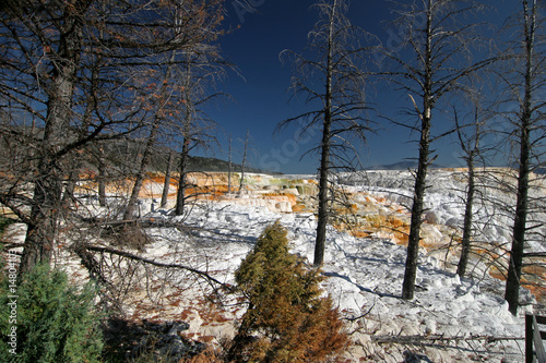 YELLOWSTONE PARK,WYOMING_USA