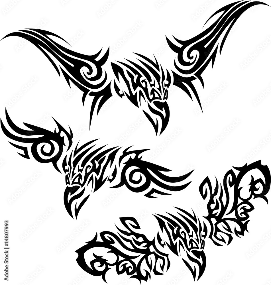 Tattoos birds of prey Tattoos birds of prey