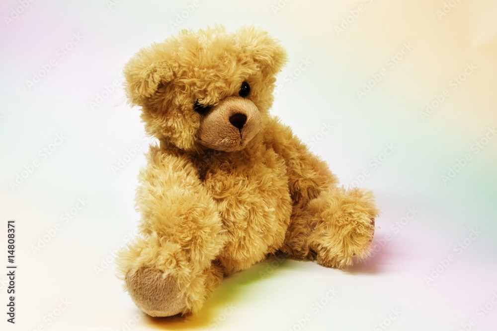 Teddy Teddy